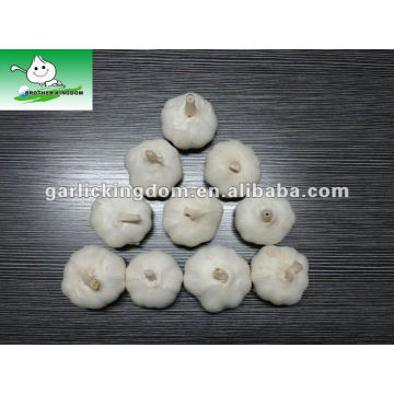 5.5cm jinxiang pure white garlic